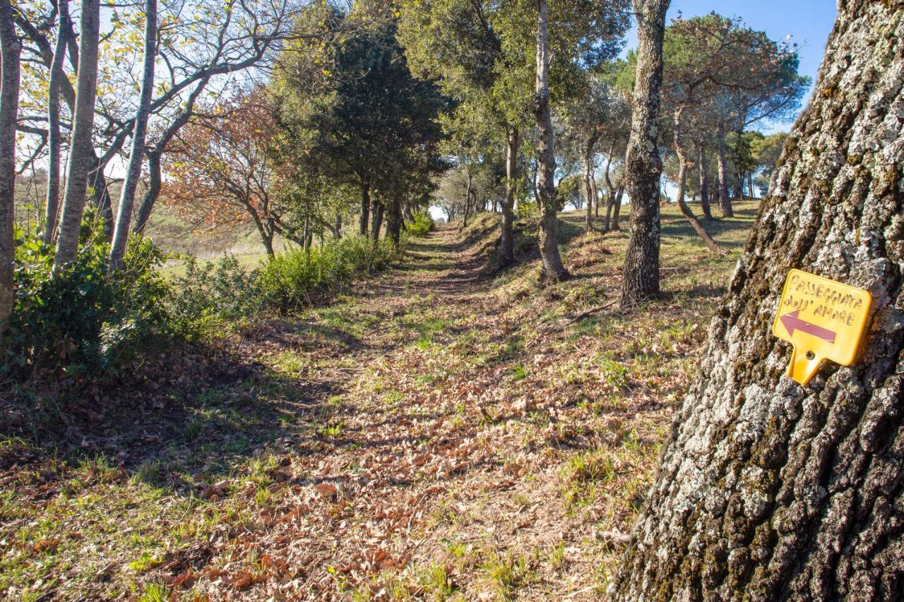 Glamping Debbiare Hotell Riparbella Exteriör bild
