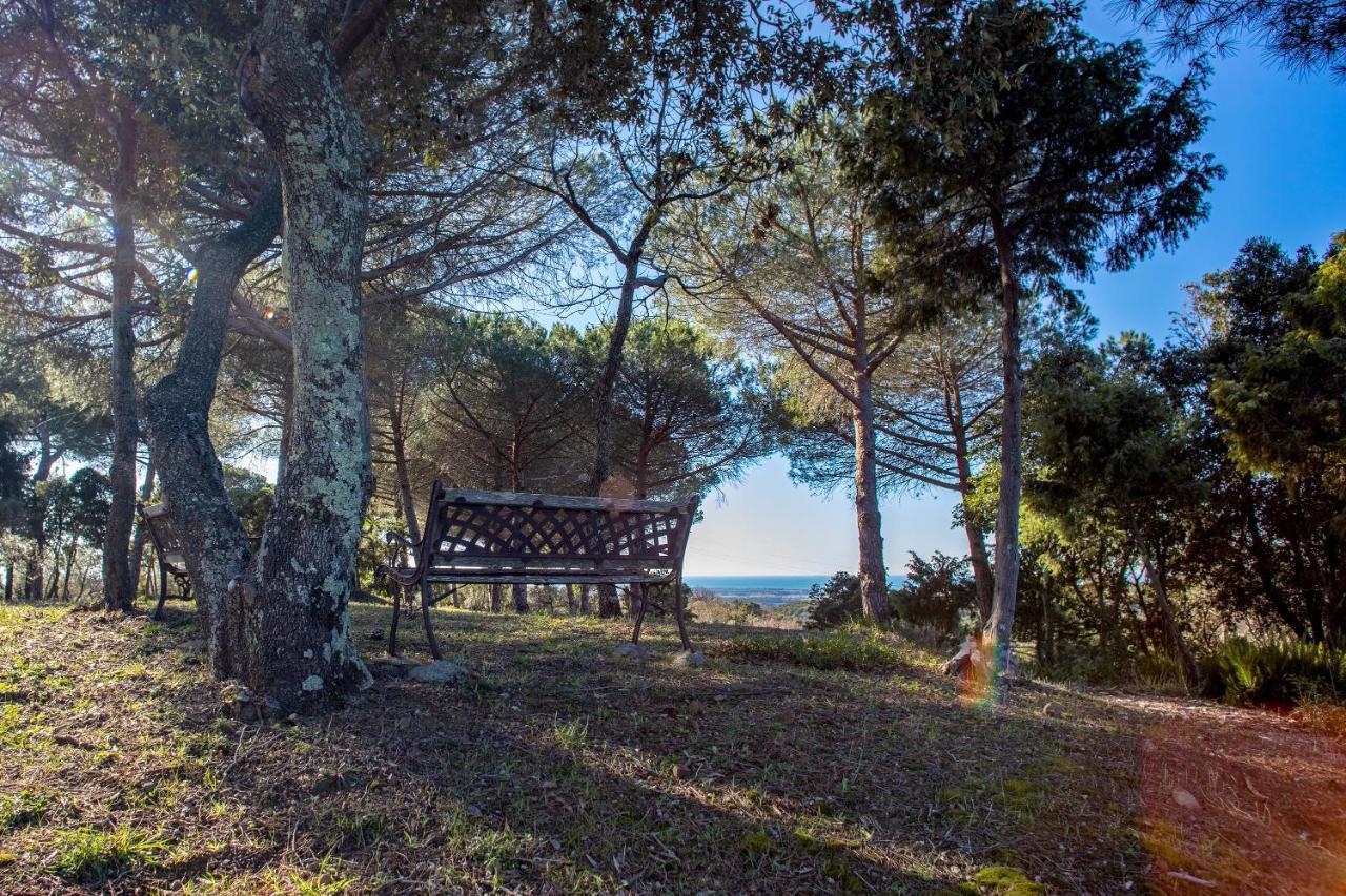 Glamping Debbiare Hotell Riparbella Exteriör bild