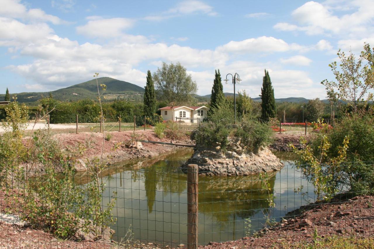 Glamping Debbiare Hotell Riparbella Exteriör bild